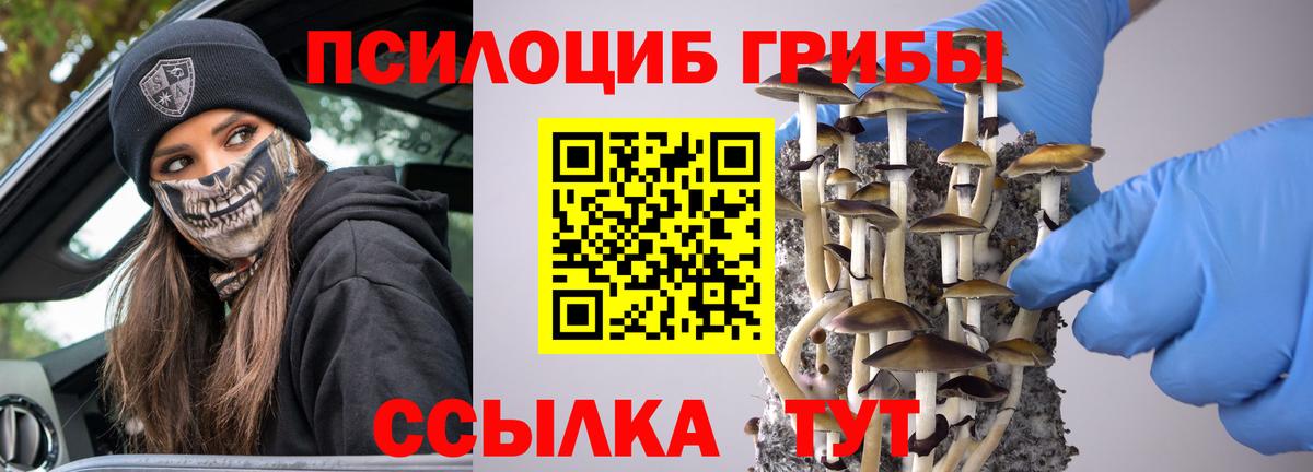 Старая Купавна  Галлюциногенные грибы мицелий  где купить наркотик  Галлюциногенные грибы мицелий  Вход с VPN 